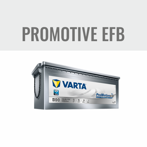 Varta Promotive EFB